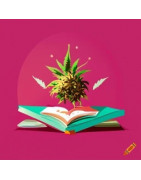 Recettes au CBD