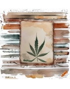 Lexique du Cannabis & Glossaire Cannabinoïdes | CannaBase